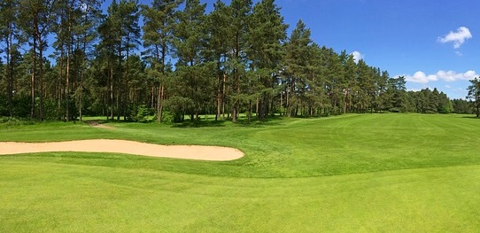 golf swedish course alone
