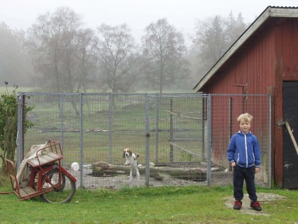 industrial and rural heritage in Sweden