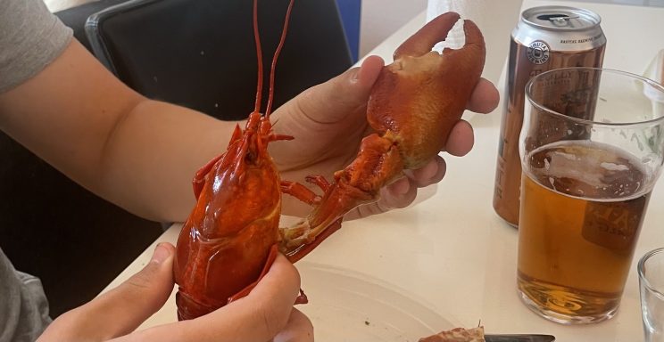 Crayfish party Vättern 