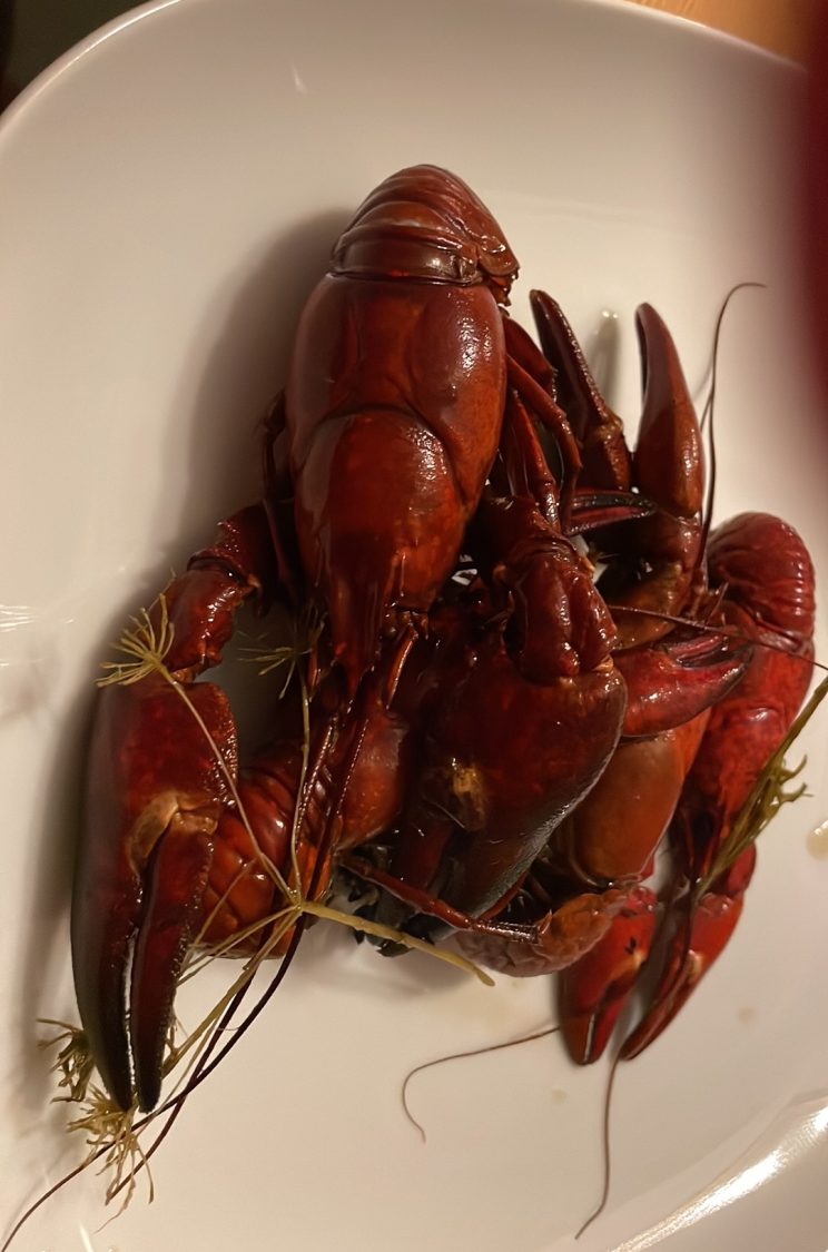 Crayfish from Vättern 