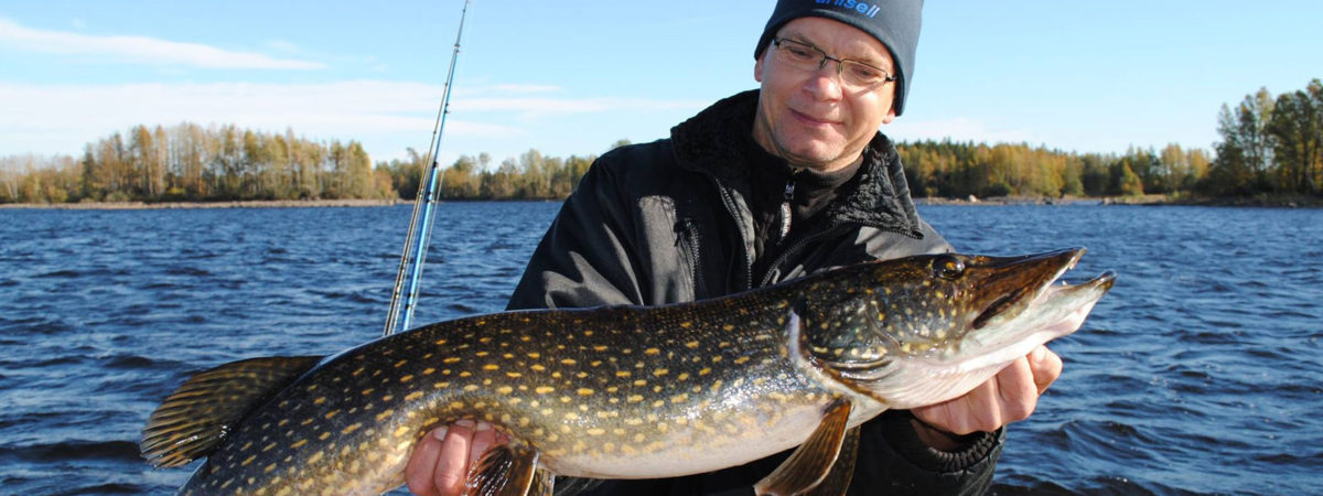 fishing - angeln - fiske vacaciones en Suecia cultura escandinava Familia Amigos viajar autocaravana Pesca en Suecia