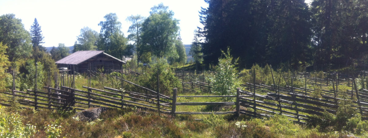 Summer grazing farmstead mountain ranges in Sweden
