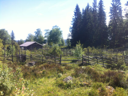 Summer grazing farmstead mountain ranges in Sweden