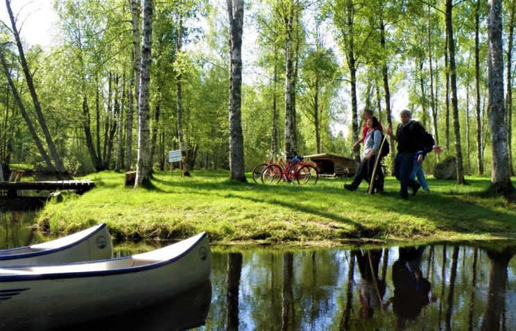 your-unique-summer-holiday-in-sweden-myownsweden-go-nature-trip