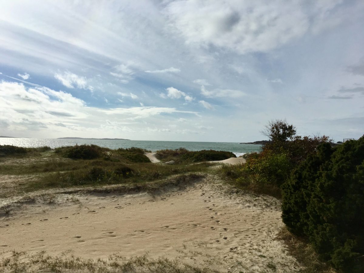 Halland Beaches