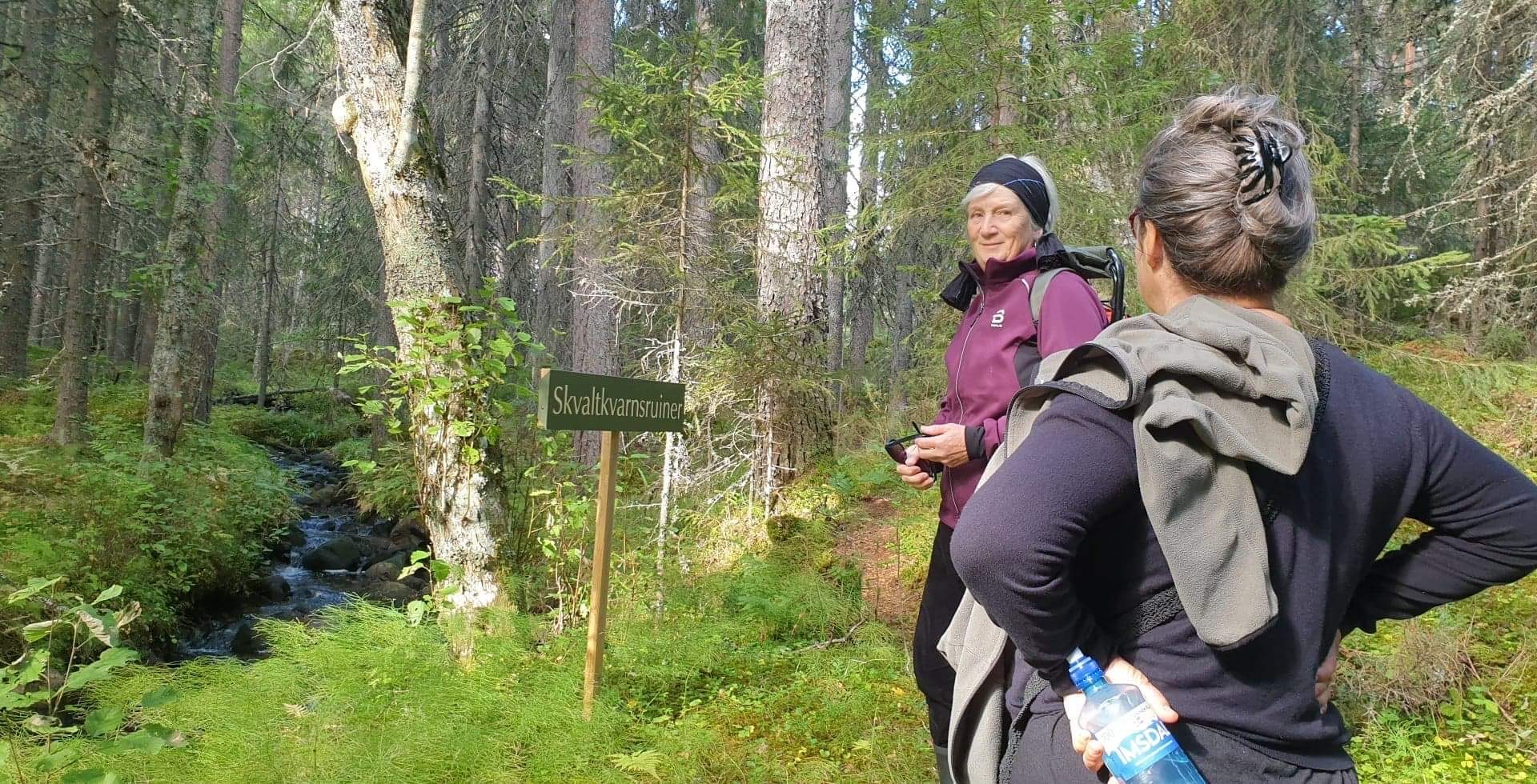 Hiking old-growth forest Dalarna