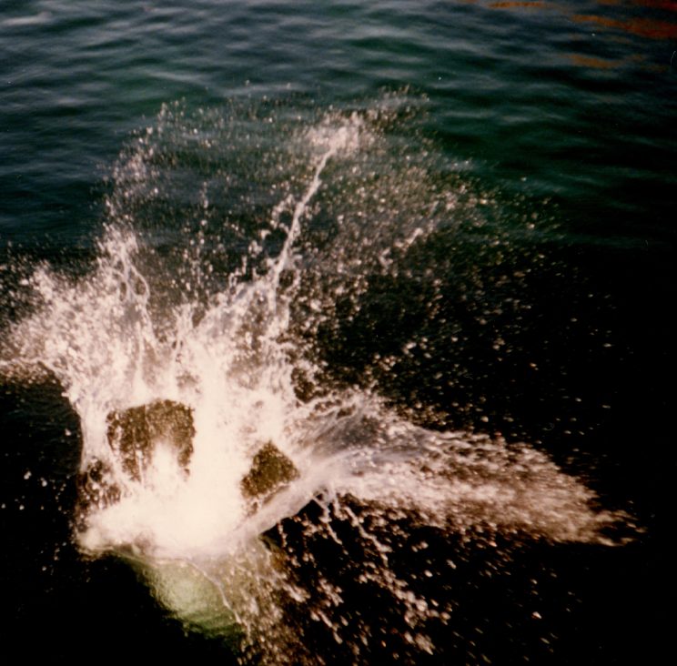diving splash water swimming